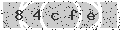 verify code