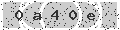 verify code