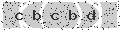 verify code